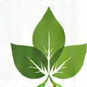 Iconiță frunză verde cu simbol de echilibru