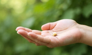 Mână care ține o capsulă naturală pe fundal verde